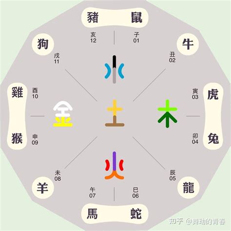 生肖猴五行|生肖猴和五行的对应关系，你是什么五行的属猴人？